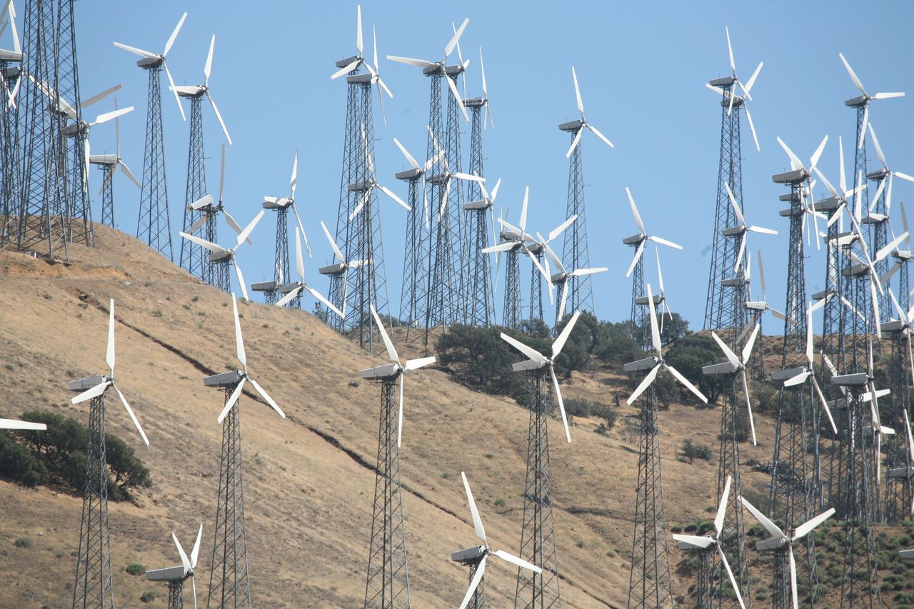 Crafting Captivating Headlines: Your awesome post title goes here A large wind farm with numerous turbines on a sunlit hillside, promoting renewable energy.